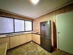 The Cairnhill (D9), Condominium #554742041